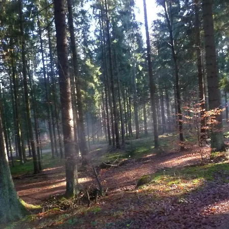 21 Bayerischer Wald 펜션