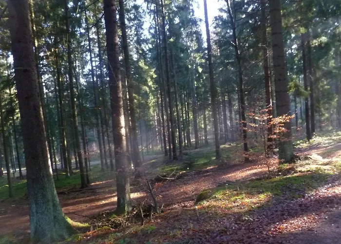 Ferienhaus Chalet 21 Bayerischer Wald Дом отдыха