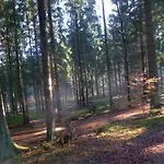 Ferienhaus Chalet 21 Bayerischer Wald Nyaraló